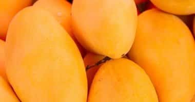 mango ataulfo